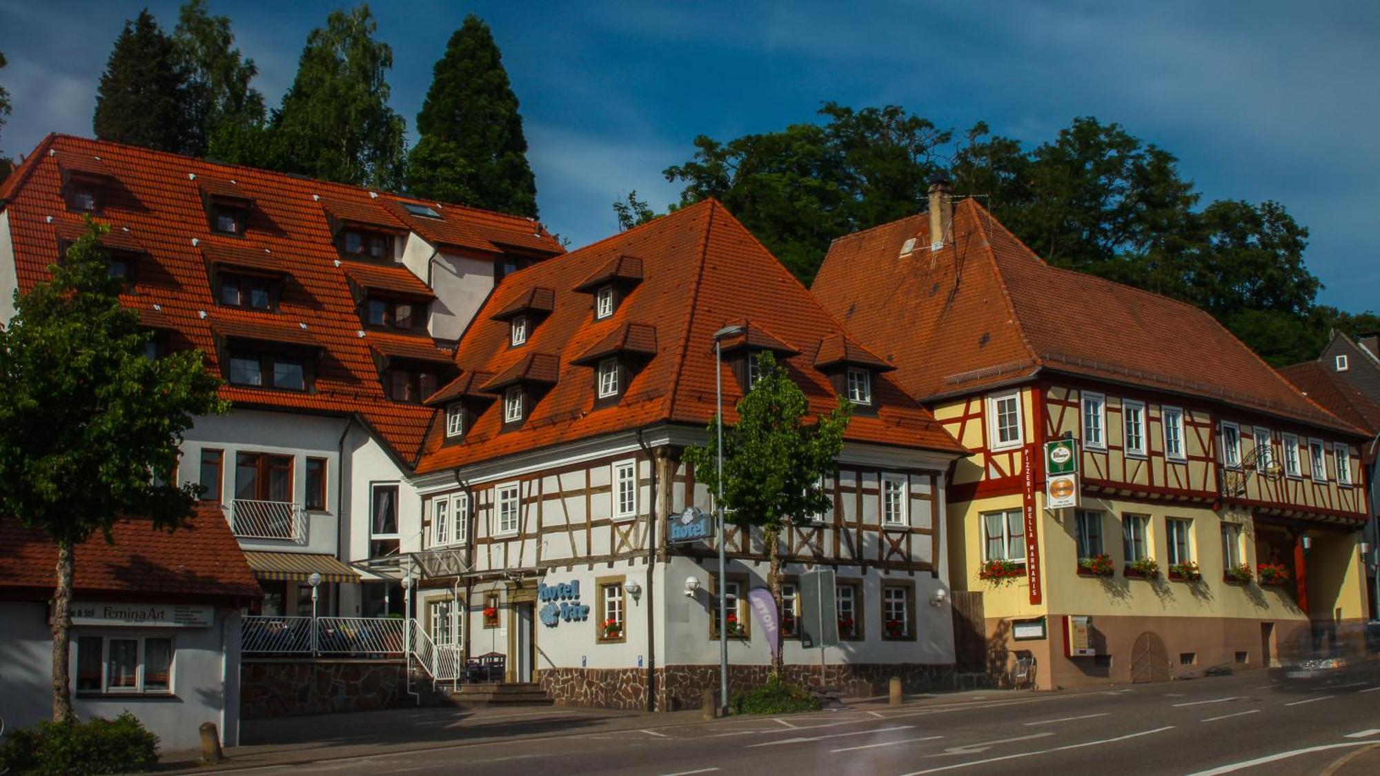 Hotel Baer Зинсхайм Экстерьер фото